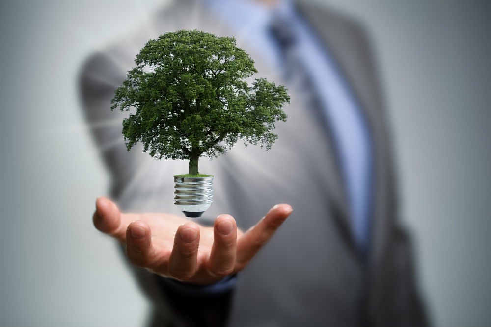 How to manage your business growing green